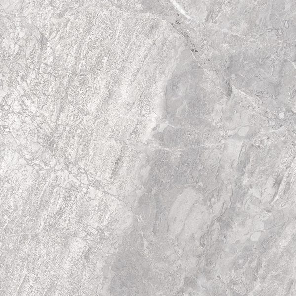 0075390 SUPREME SILVER - Cerdomus Tile Studio Quality Tiles - September 12, 2023 600x600 Super Tundra Silver Matt R10 C3169